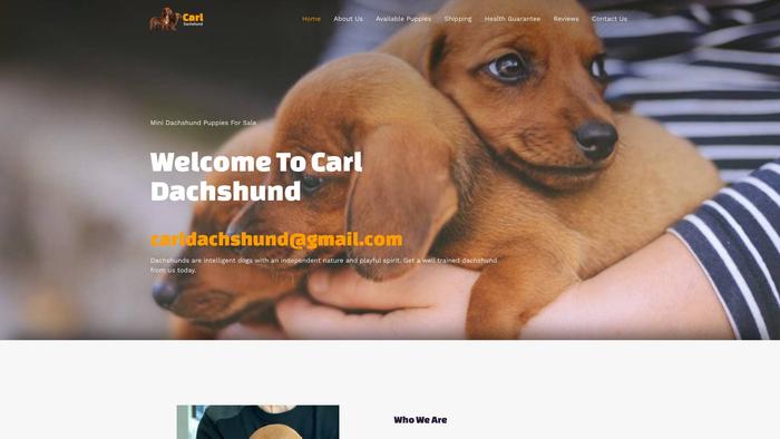 Carldachshund.com - Dachshund Puppy Scam Review