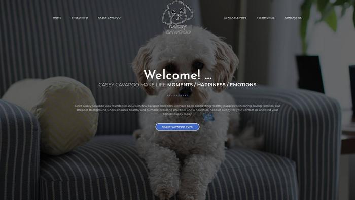 Caseycavapoo.com - Cavapoo Puppy Scam Review