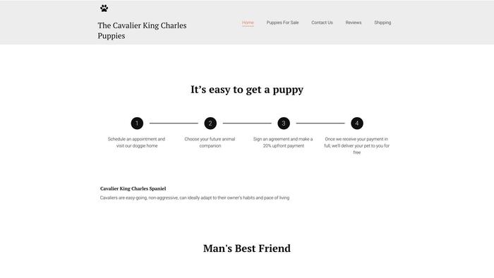 Cavalierkingcharlespuppies.net - Cavalier King Charles Spaniel Puppy Scam Review