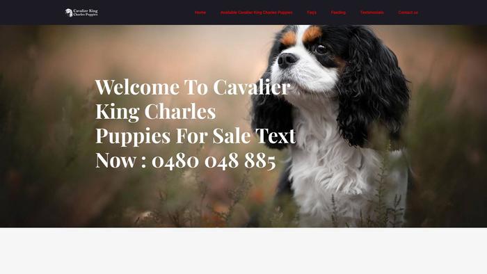 Cavalierkingcharlespuppies4sale.com - Cavalier King Charles Spaniel Puppy Scam Review