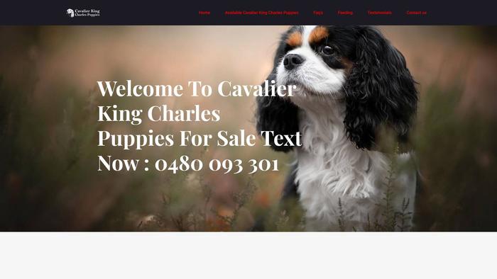 Cavalierkingcharlesspanielpuppies-au.com - Cavalier King Charles Spaniel Puppy Scam Review