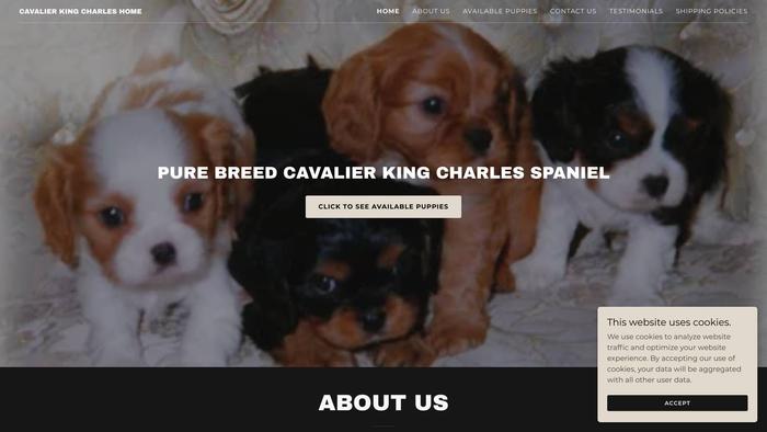 Cavalierkingcharlesspanielpuppieshome.com - Cavalier King Charles Spaniel Puppy Scam Review