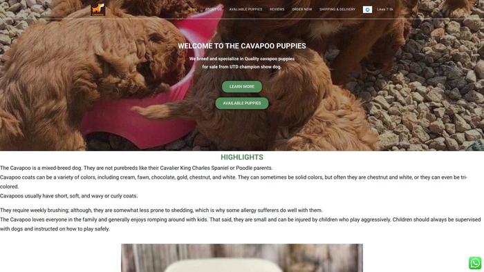 Cavapoopuppies.online - Cavapoo Puppy Scam Review