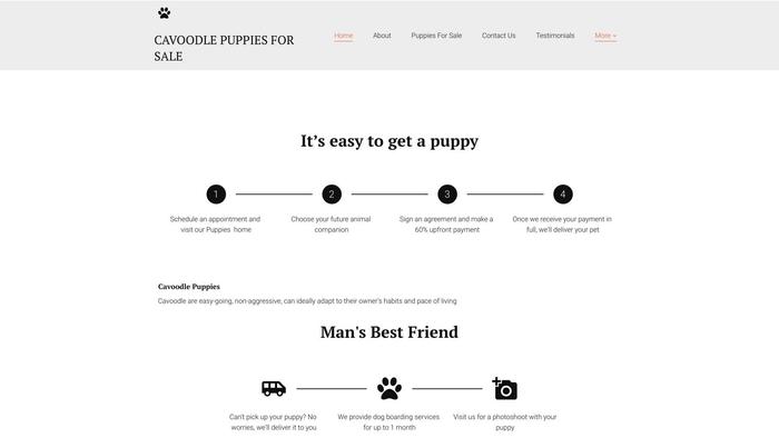 Cavapoopuppieshome.net - Cavapoo Puppy Scam Review