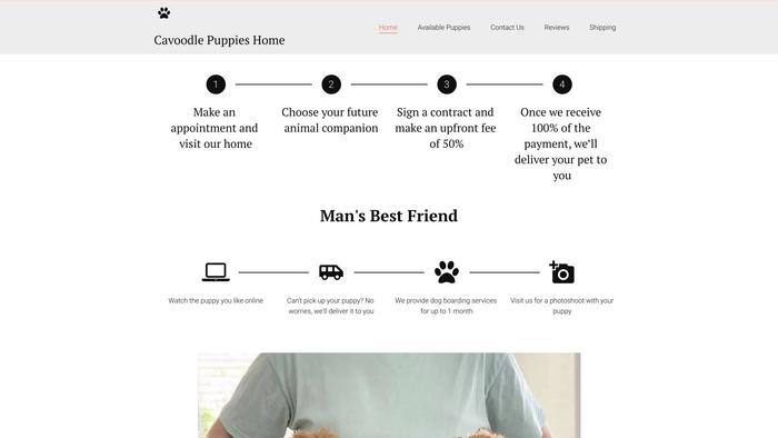 Cavoodlepuppieshome.net - Cavapoo Puppy Scam Review