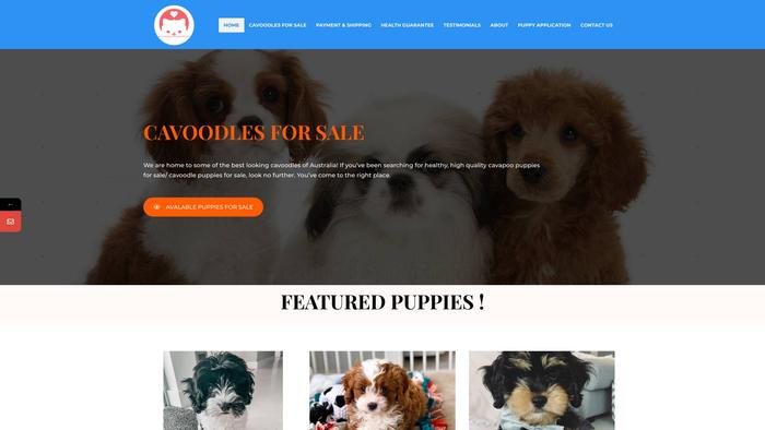 Cavoodlesofaustralia.com - Cavapoo Puppy Scam Review