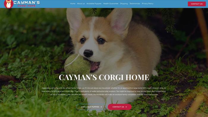 Caymanscorgi.com - Corgi Puppy Scam Review