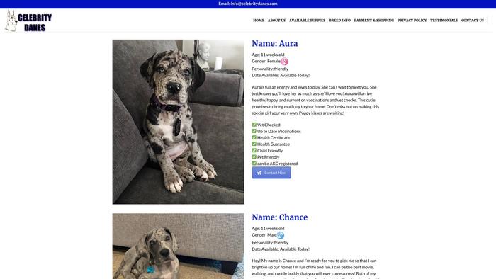 Celebritydanes.com - Great Dane Puppy Scam Review