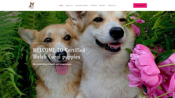 Certifiedwelshcorgipuppies.com - Corgi Puppy Scam Review