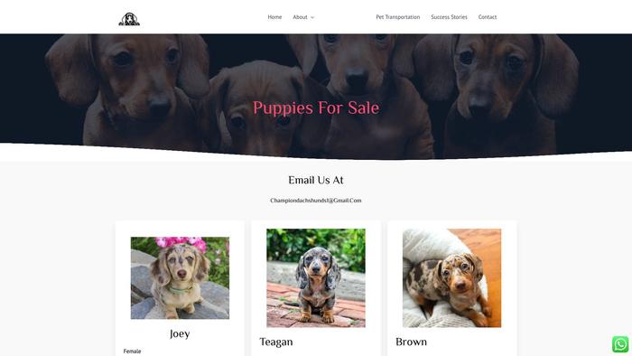 Championdachshunds.com - Dachshund Puppy Scam Review