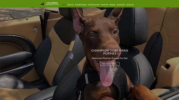 Championdobermanpuppies.com - Doberman Pinscher Puppy Scam Review