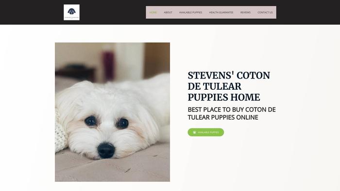 Championsfrenchies.com - Coton De Tulear Puppy Scam Review