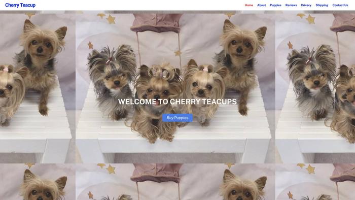 Cherryteacups.com - Yorkshire Terrier Puppy Scam Review