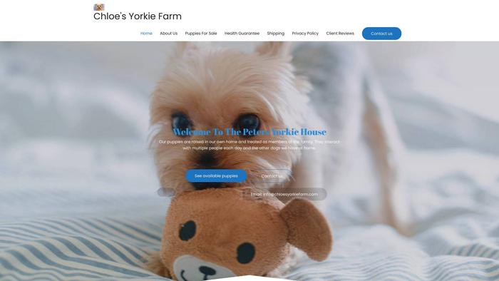 Chloesyorkiefarm.com - Yorkshire Terrier Puppy Scam Review