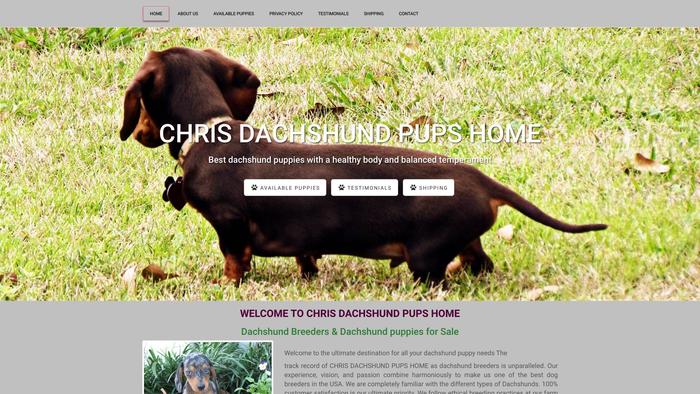 Chrisdachshundpuppies.com - Dachshund Puppy Scam Review