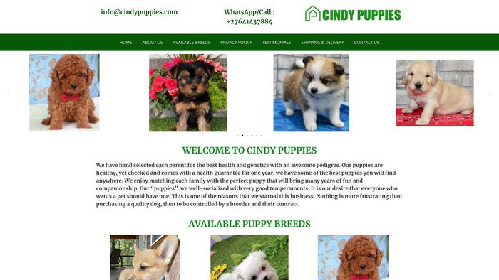 Cindypuppies.com - Corgi Puppy Scam Review