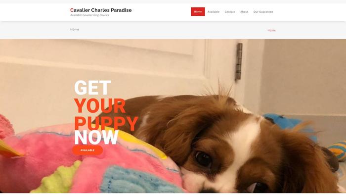 Ckingcharlelovers.com - Cavalier King Charles Spaniel Puppy Scam Review