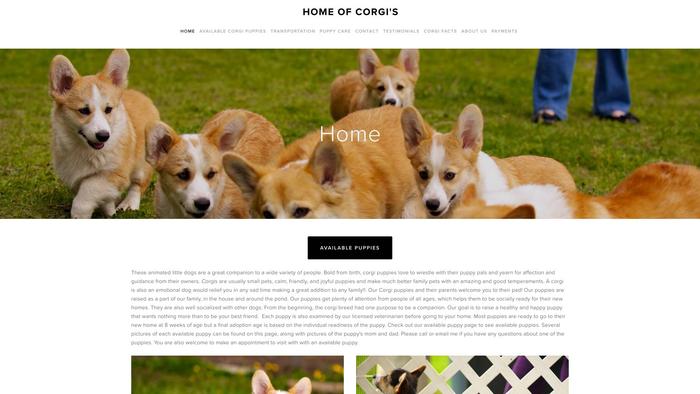 Classiccorgies.com - Corgi Puppy Scam Review