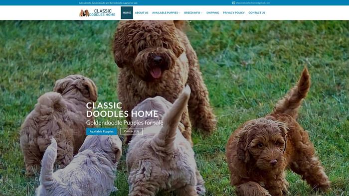 Classicdoodleshome.com - Labradoodle Puppy Scam Review