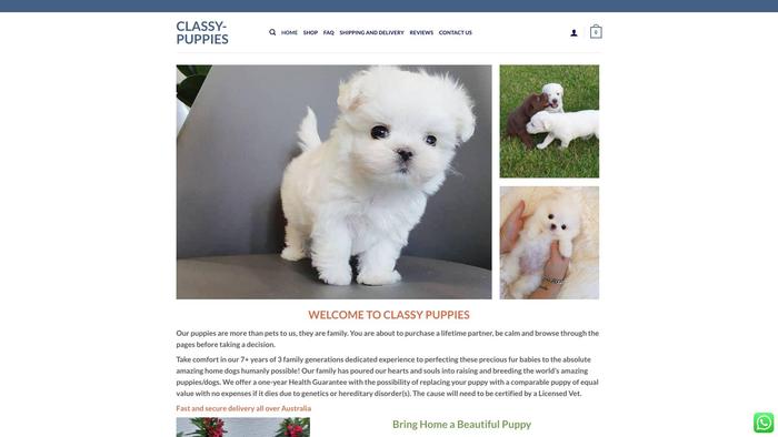 Classy-puppies.com - Labrador Puppy Scam Review