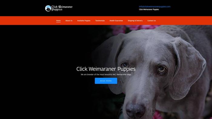 Clickweimaranerpuppies.com - Weimaraner Puppy Scam Review