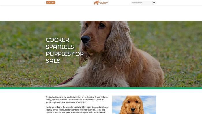 Cockerspanielspupshome.com - Cockerspaniel Puppy Scam Review