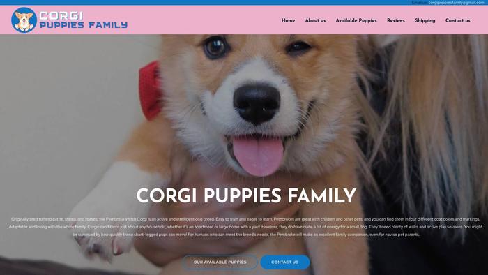 Corgipuppiesfamily.com - Corgi Puppy Scam Review