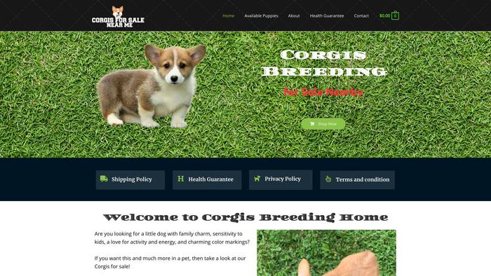 Corgisforsalenearme.com - Corgi Puppy Scam Review