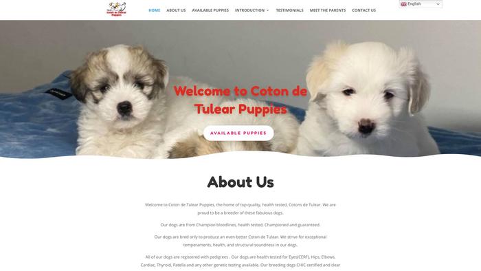 Cotondetulearpuppies001.com - Coton De Tulear Puppy Scam Review