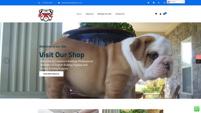 Criadorbulldogperros.com - Bulldog Puppy Scam Review