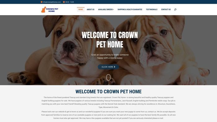 Crownpethomes.com - Golden Retriever Puppy Scam Review