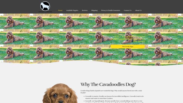 Cutecavadoodlesdawgs.com - Cavapoo Puppy Scam Review