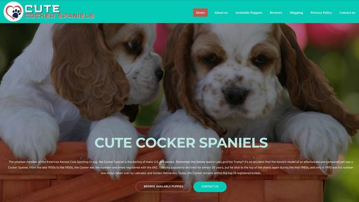 Cutecockerspaniels.com - Cockerspaniel Puppy Scam Review