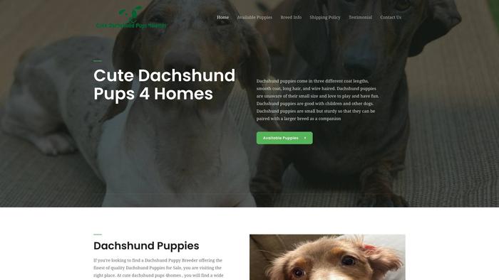 Cutedachshundpups4homes.com - Dachshund Puppy Scam Review