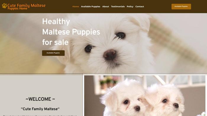 Cutefamilymaltesepuppieshome.com - Maltese Puppy Scam Review