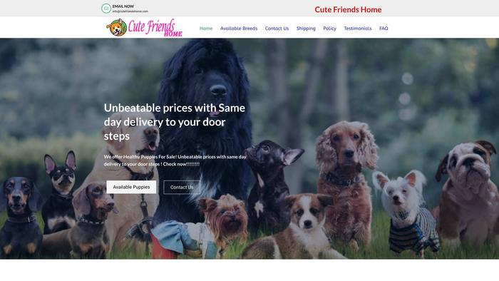 Cutefriendshome.com - French Bulldog Puppy Scam Review