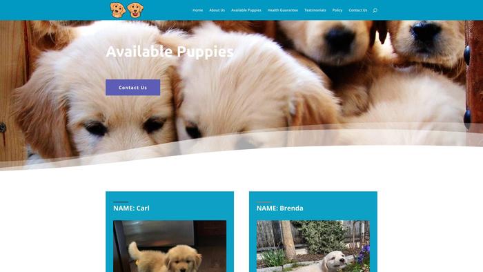 Cutegoldenretrievershome.com - Golden Retriever Puppy Scam Review