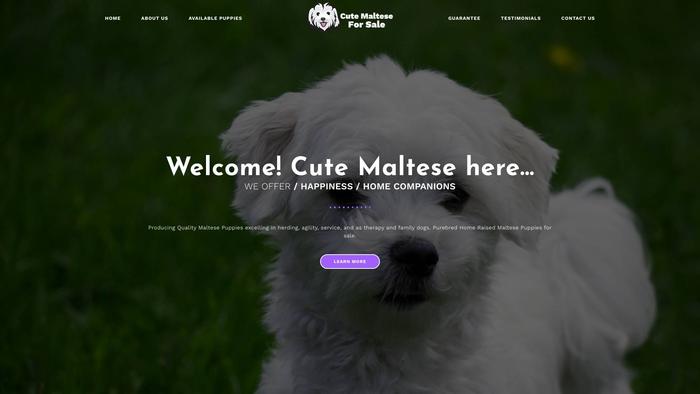 Cutemalteseforsale.com - Maltese Puppy Scam Review