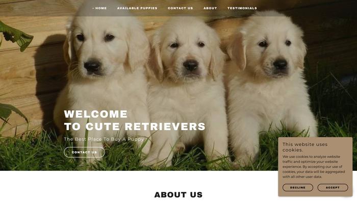 Cuteretrievers.com - Golden Retriever Puppy Scam Review