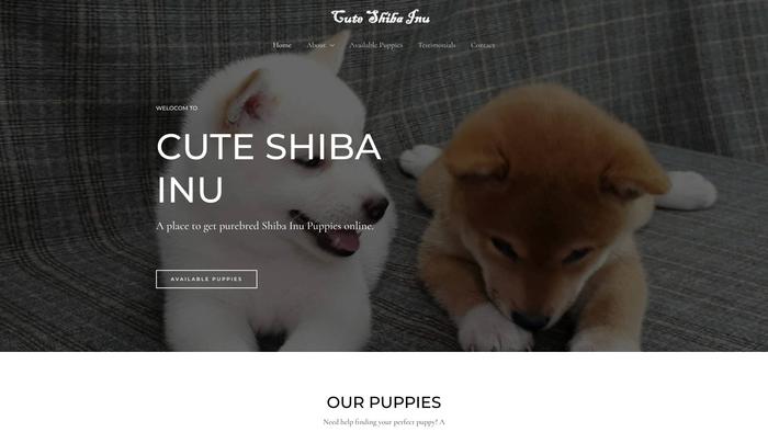 Cuteshibainu.com - Shibhainu Puppy Scam Review