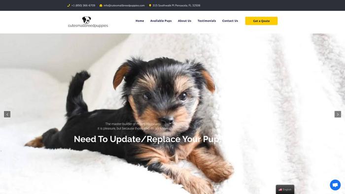 Cutesmallbreedpuppies.com - Maltese Puppy Scam Review