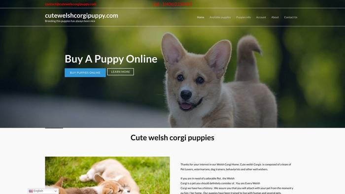 Cutewelshcorgipuppy.com - Corgi Puppy Scam Review