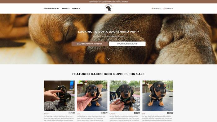 Dachshundf4l.com - Dachshund Puppy Scam Review