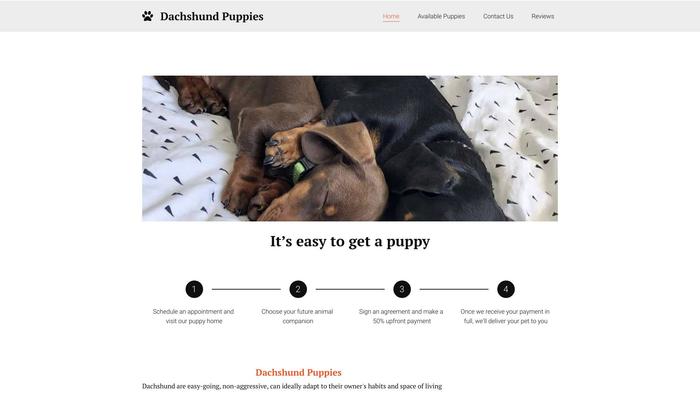 Dachshundpuppies5.net - Dachshund Puppy Scam Review