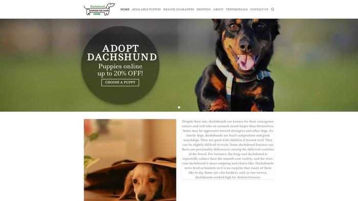 Dachshundpuppiesforgoodhomes.com - Dachshund Puppy Scam Review