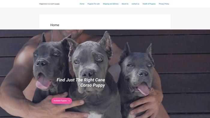 Dannycanecorsopups.com - Cane Corso Puppy Scam Review