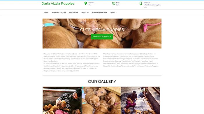 Darlavizslapuppies.com - Labrador Puppy Scam Review