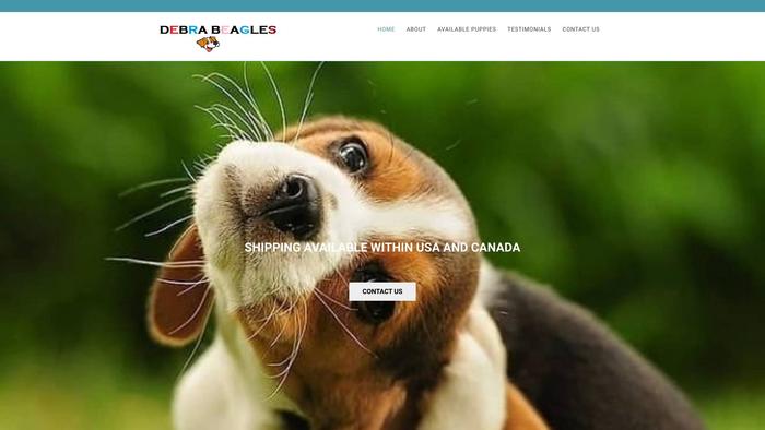 Debrabeagles.com - Beagle Puppy Scam Review