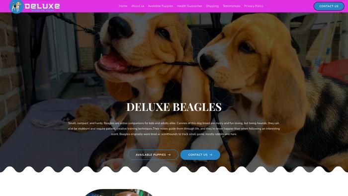 Deluxebeagles.com - Beagle Puppy Scam Review