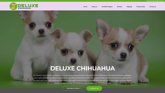 Deluxechihuahua.com - Chihuahua Puppy Scam Review